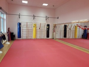 Mala dvorana sportske dvorane OŠ Deščak